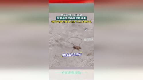 女子踩死一只蛐蛐，其肚子里爬出两只铁线虫，铁线虫可感染人体，千万注意驱虫