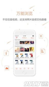 宠物乐园——猫咪交流社区APP