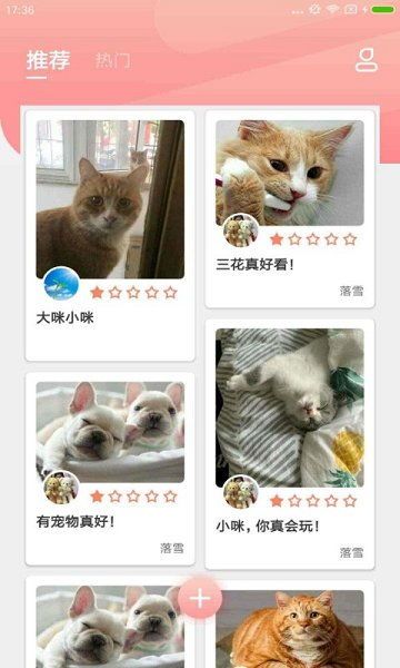 宠物乐园——猫咪交流社区APP