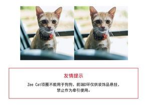 猫咪乐园，宠物生活圈