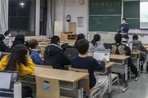  宠物兔子的养护要点与寿命探讨