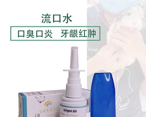 兔子口炎的治疗与预防（兔子口炎需要主人的积极干预与护理）