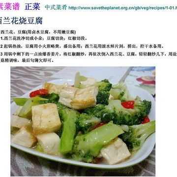 “狗狗营养食谱，素食推荐来啦！”