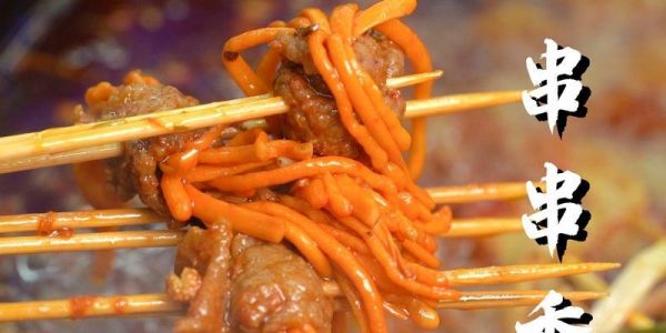 串串宠物饲养完全指南