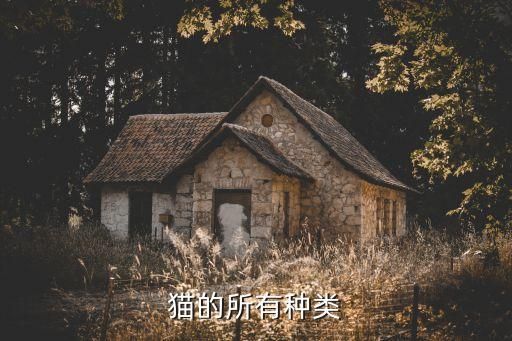 猫的所有种类