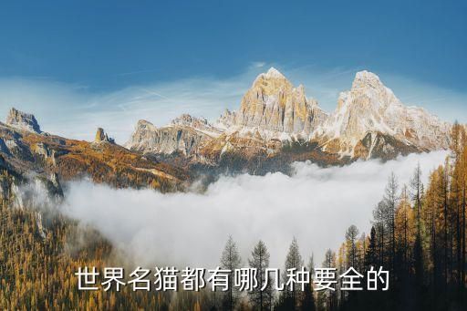 世界名猫都有哪几种要全的