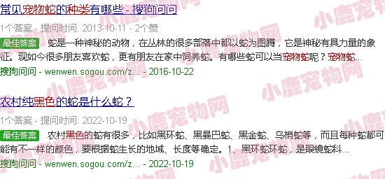 黑色宠物蛇种类