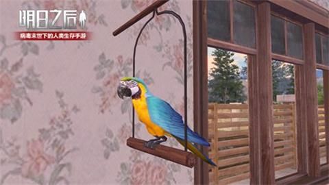 明日之后鹦鹉怎么训练