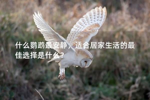 什么鹦鹉最安静，适合居家生活的最佳选择是什么？