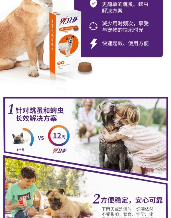 宠物驱虫药过敏怎么办 宠物驱虫药会引起呕吐吗
