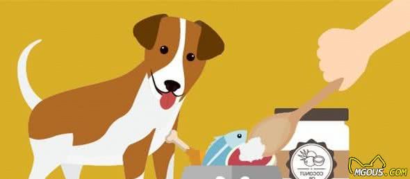 犬过敏痒痒痒，只要用家里的这类油抹抹就管用！