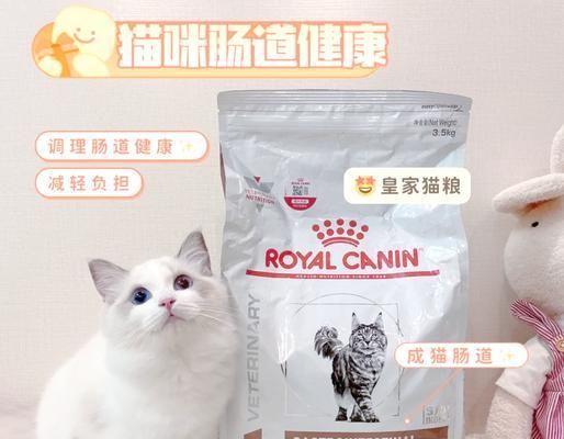 猫胃肠道处方粮有何特别之处？它适合哪些猫咪？