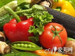 健康宠物饮食，营养均衡关键