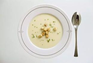 健康宠物饮食，营养均衡关键