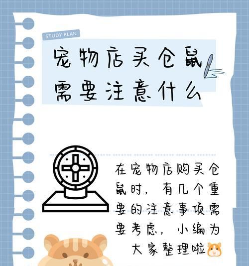 石狮哪里可以购买仓鼠？有哪些推荐的宠物店？