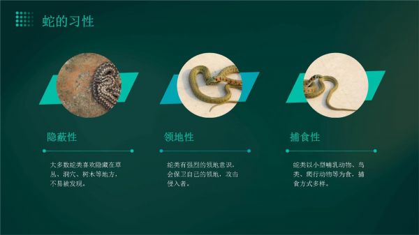 蛇的防护与治疗中班_第5页
