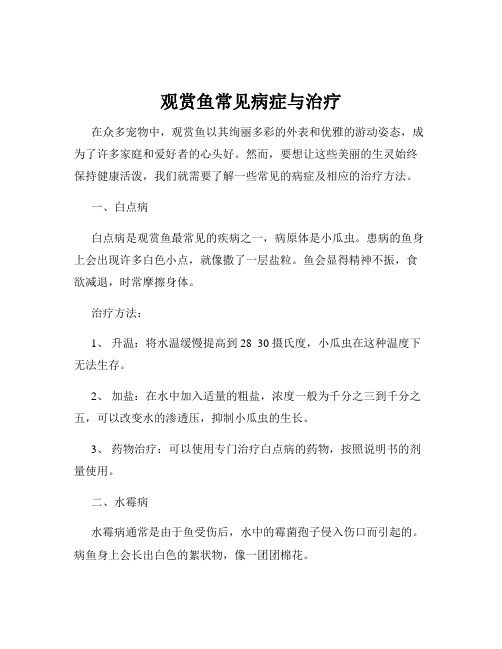 观赏鱼常见病症与治疗