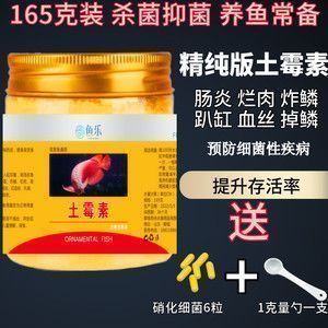 龙鱼土霉素使用剂量和方法龙鱼水霉病的自然疗法方法（土霉素在其他鱼类疾病中的应用） vs祥龙鱼场 第1张