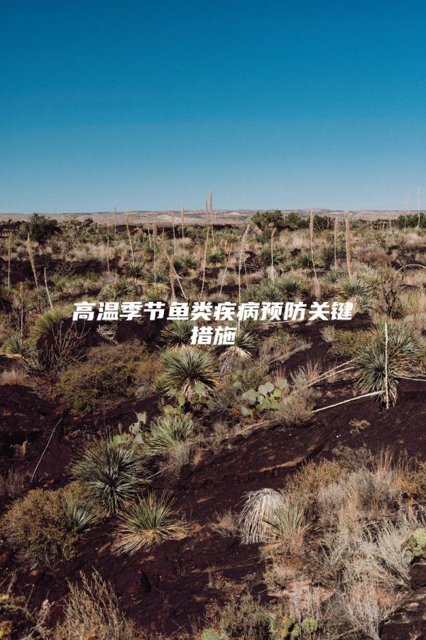 高温季节鱼类疾病预防关键措施