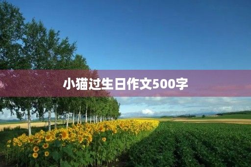 小猫过生日作文500字
