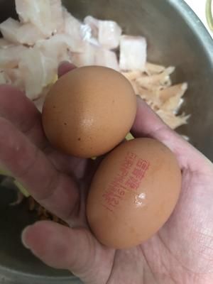 8分钟快手猫罐头 猫饭的做法 步骤9