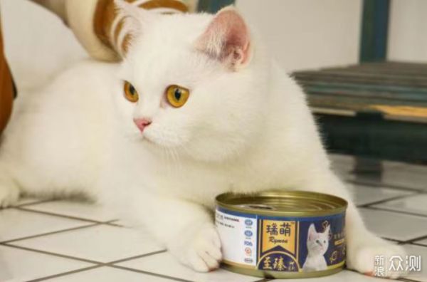 猫罐头推荐，2021性价比超高的猫罐头在这里_新浪众测