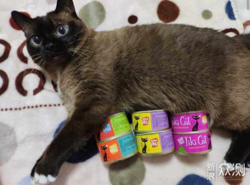 猫罐头推荐，2021性价比超高的猫罐头在这里_新浪众测