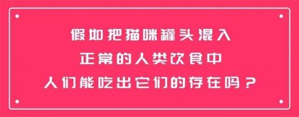 99%的人都不知道，猫罐头除了喂猫，还能这么吃...
