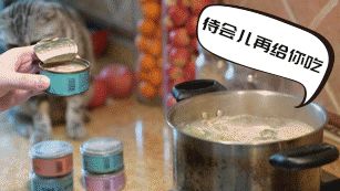 99%的人都不知道，猫罐头除了喂猫，还能这么吃...