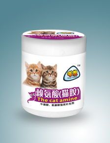 生肉罐头，猫咪营养佳？如何搭配食谱更健康？