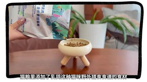 为什么猫会咔咔叫？难道是在...