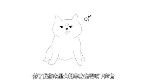 养猫后你的生活会有变化！