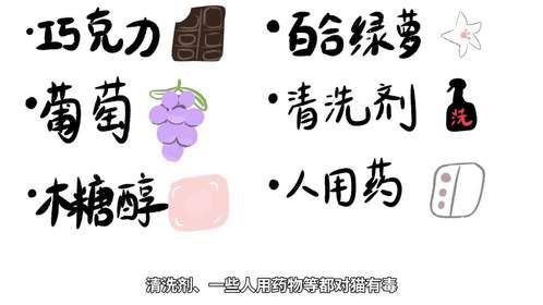 你可能用不上，但一定要会的宠物急救知识！