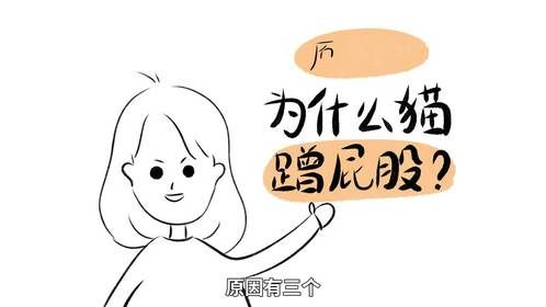 养猫最地狱的时刻：猫到处蹭屁股！