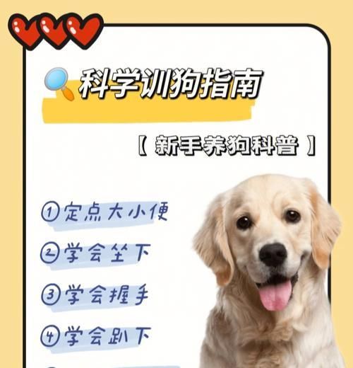 夏季狗狗养护指南（宠物主人必读的狗狗健康保养秘笈）