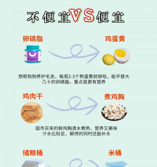 宠物生病，早知道！（如何预防、发现和治疗宠物疾病？——以爱犬为例）