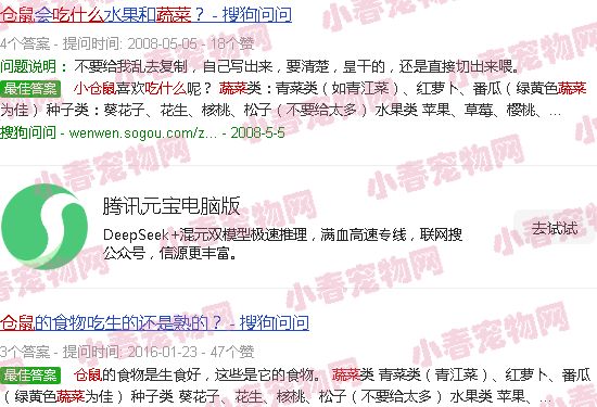 小仓鼠吃什么蔬菜