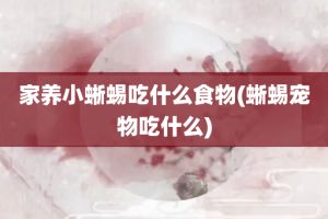 家养小蜥蜴吃什么食物(蜥蜴宠物吃什么)