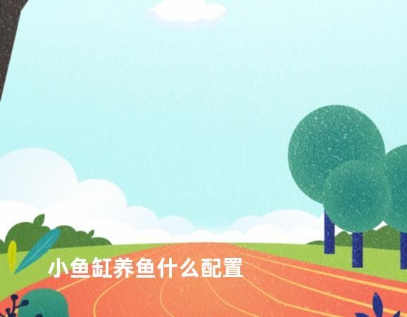 小鱼缸养鱼什么配置