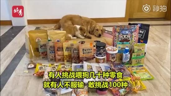 科学搭配,宠物零食,健康享乐