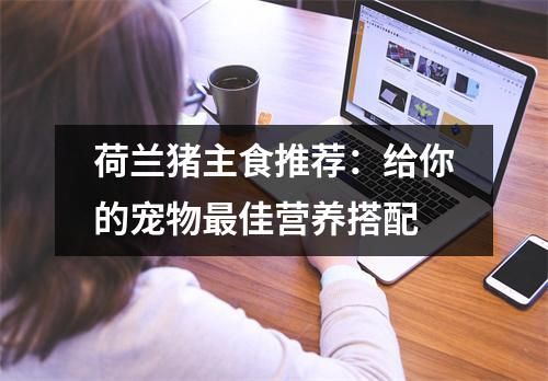 荷兰猪主食推荐：给你的宠物最佳营养搭配