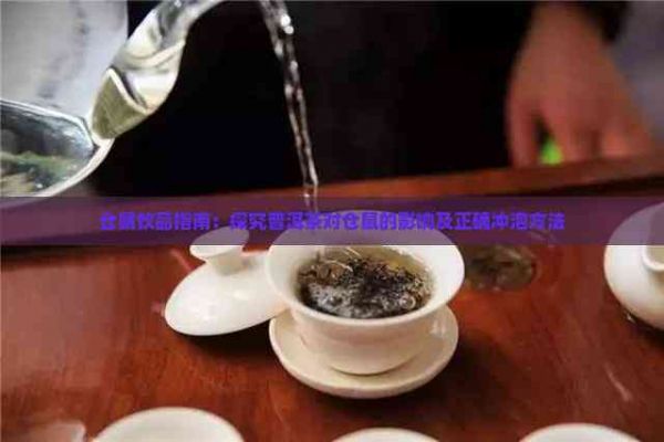 仓鼠饮品指南：探究普洱茶对仓鼠的影响及正确冲泡方法
