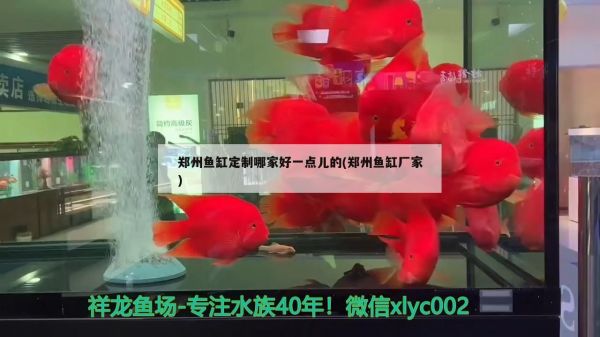 郑州鱼缸定制哪家好一点儿的(郑州鱼缸厂家)（郑州鱼缸定制哪家好一点儿的） 观赏鱼论坛 第2张