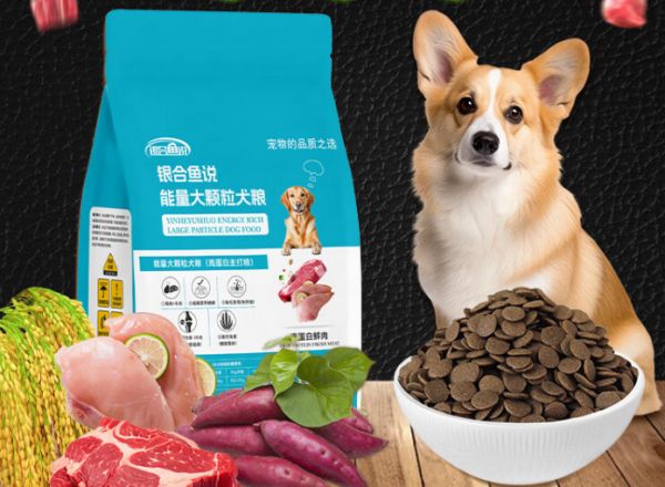 银合鱼说狗粮：狗狗的专属营养大餐