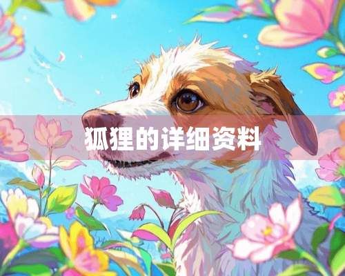 狐狸的详细资料