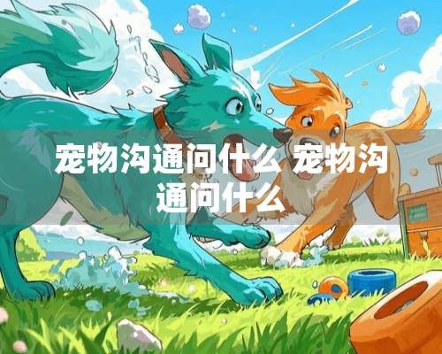宠物沟通问什么 宠物沟通问什么