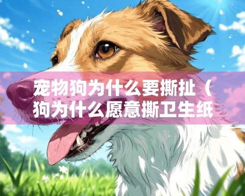宠物狗为什么要撕扯(狗为什么愿意撕卫生纸)