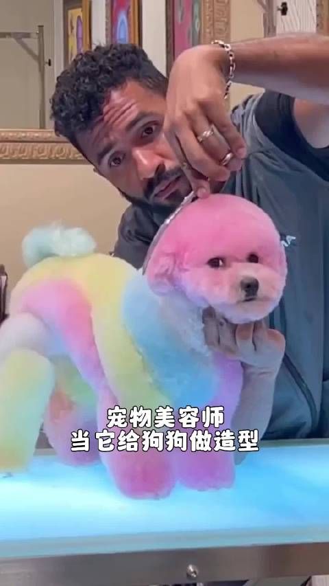 宠物美容师,当他给狗狗做造型,最后的效果我真的会心动!