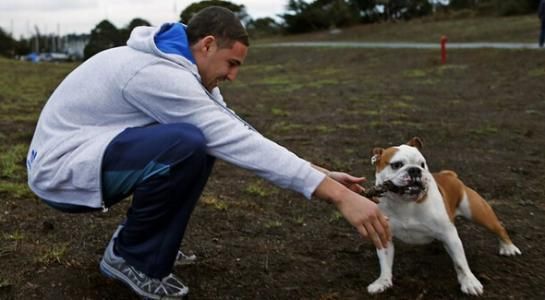 球星与宠物：西蒙斯悔当猫奴 汤神爱犬比库里重要