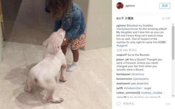 球星与宠物：西蒙斯悔当猫奴 汤神爱犬比库里重要